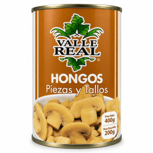 HONGOS